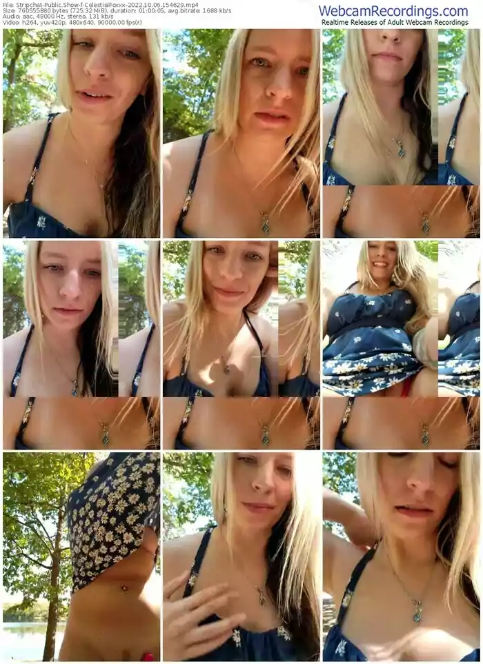 stripchat-celestialfoxxx-10-06-2022-15-46-29