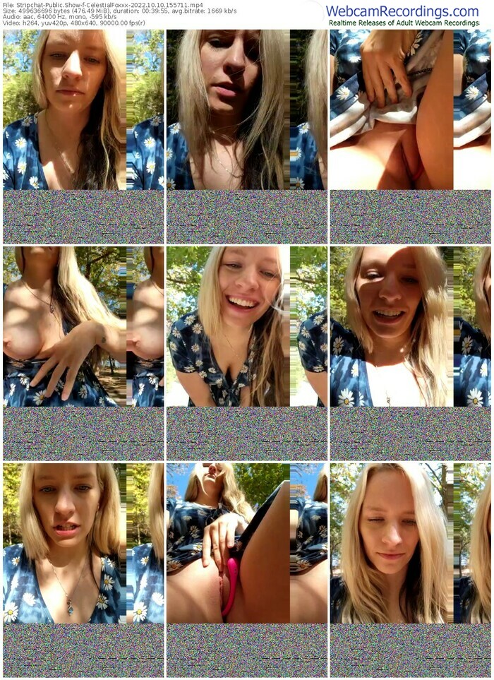 stripchat-celestialfoxxx-10-10-2022-15-57-11
