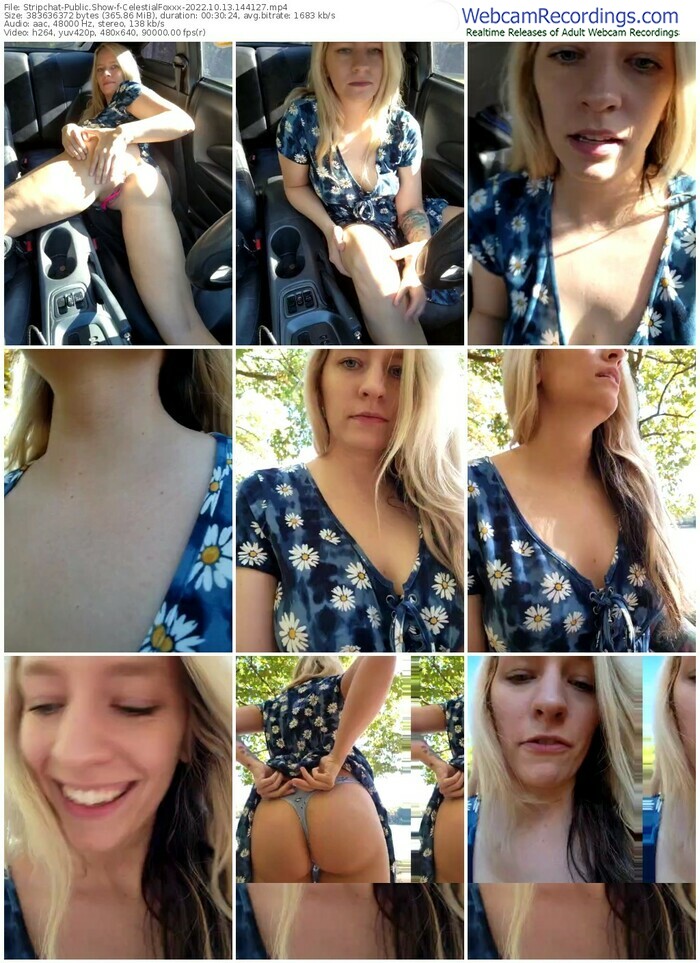 stripchat-celestialfoxxx-10-13-2022-14-41-27