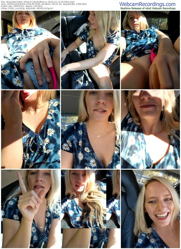 stripchat-celestialfoxxx-10-13-2022-15-43-02