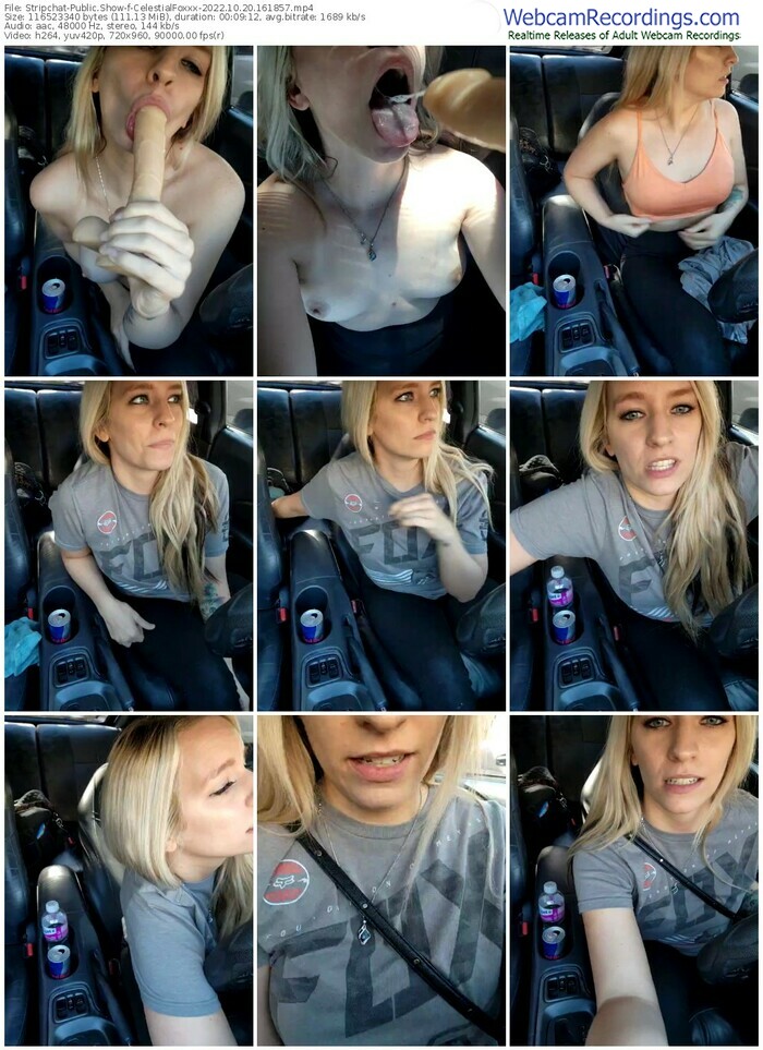 stripchat-celestialfoxxx-10-20-2022-16-18-57