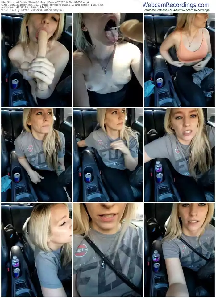 stripchat-celestialfoxxx-10-20-2022-16-18-57