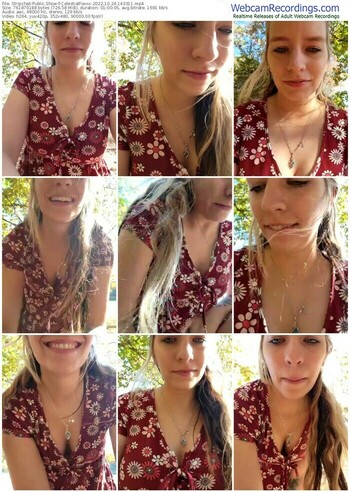 stripchat-celestialfoxxx-10-24-2022-14-33-11