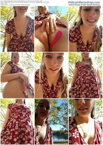 stripchat-celestialfoxxx-10-24-2022-15-33-12