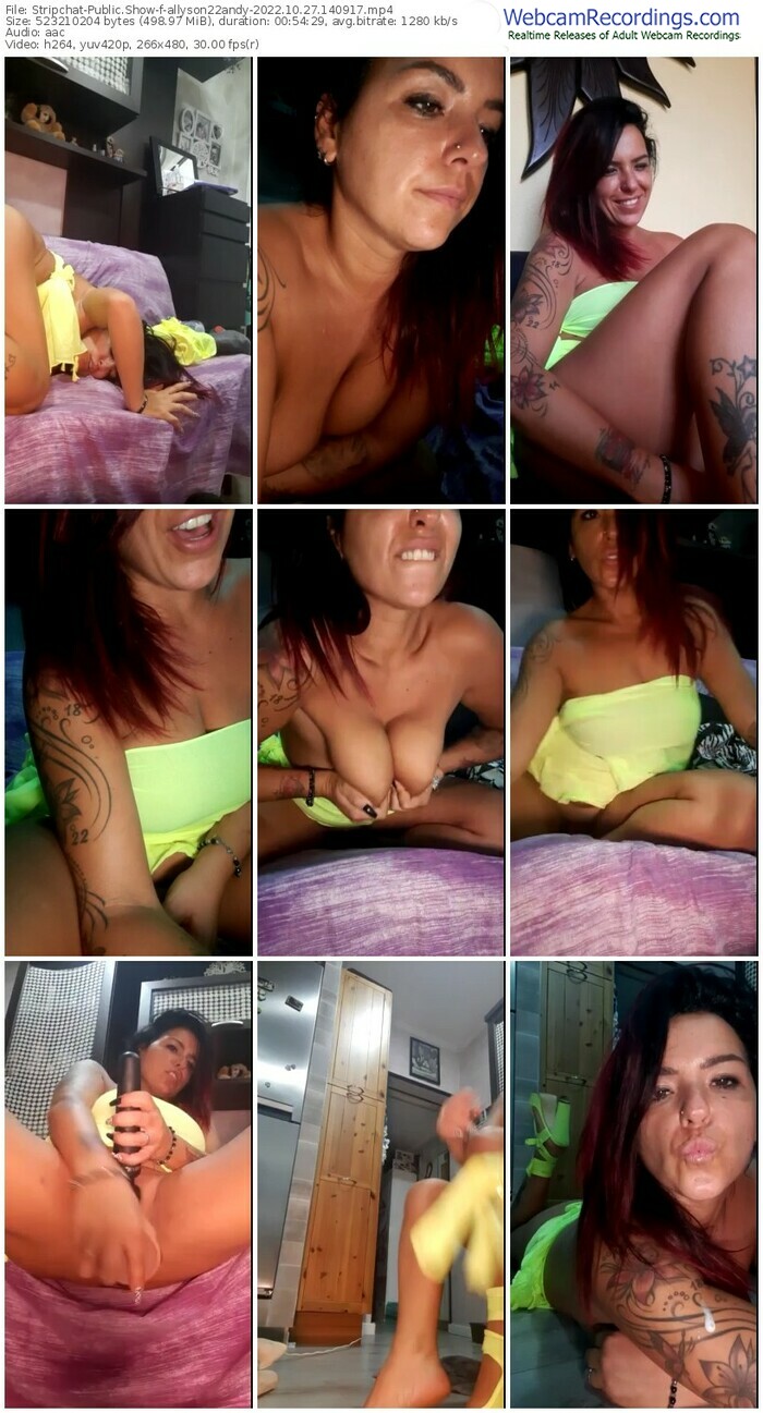 stripchat-allyson22andy-10-27-2022-14-09-17