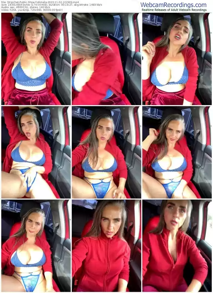 stripchat-alimela-11-02-2022-10-29-09