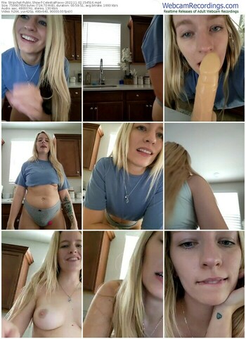 stripchat-celestialfoxxx-11-02-2022-15-45-16