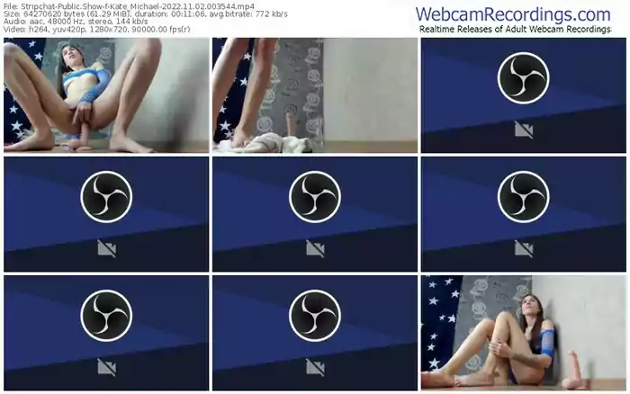 stripchat-kate_michael-11-02-2022-00-35-44