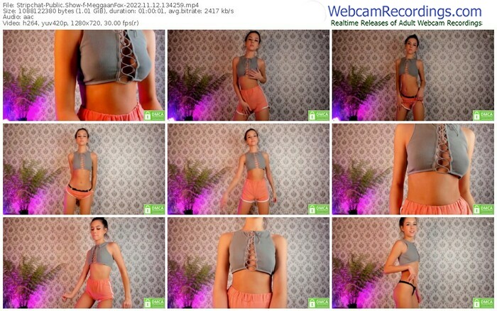 stripchat-meggaanfox-11-12-2022-13-42-59