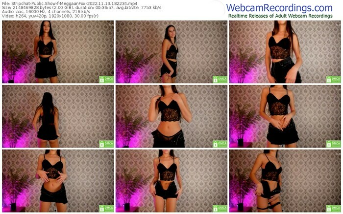 stripchat-meggaanfox-11-13-2022-18-22-34