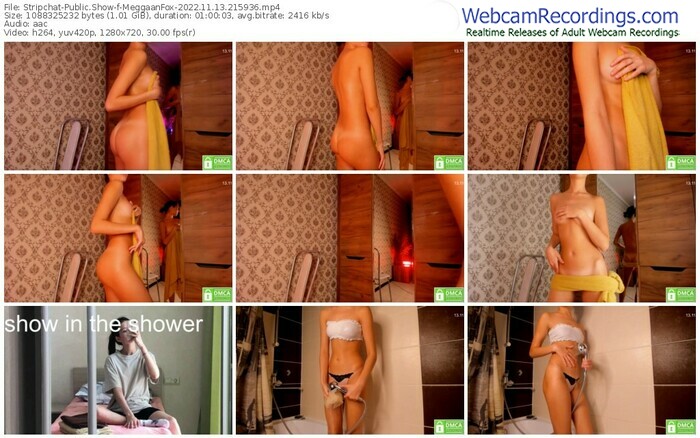 stripchat-meggaanfox-11-13-2022-21-59-36