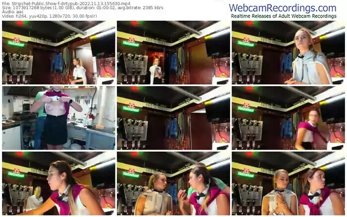 stripchat-dirtypub-11-13-2022-15-56-30