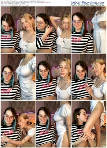 stripchat-littleferalberry-11-17-2022-17-56-58