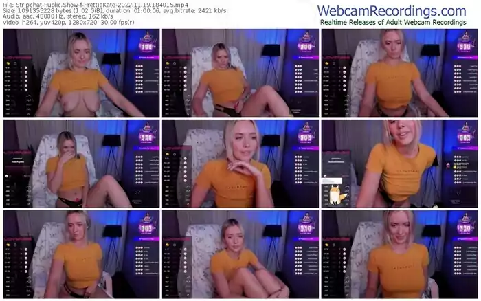 stripchat-prettiekate-11-19-2022-18-40-15