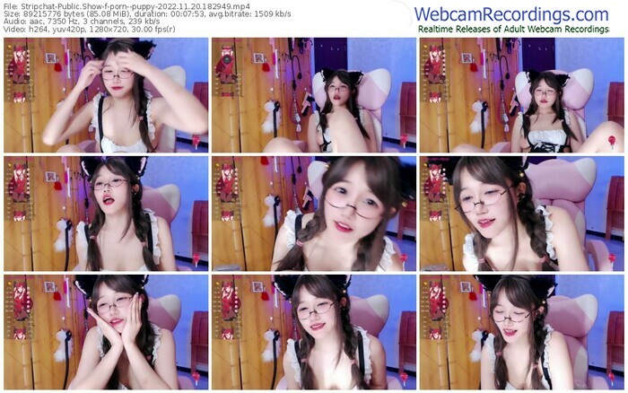 stripchat-porn--puppy-11-20-2022-18-29-49