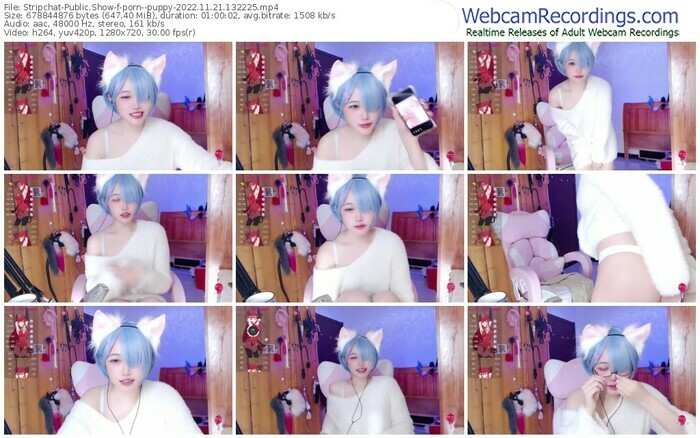 stripchat-porn--puppy-11-21-2022-13-22-25