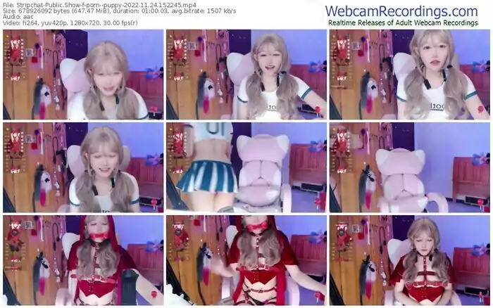 stripchat-porn--puppy-11-24-2022-15-22-45