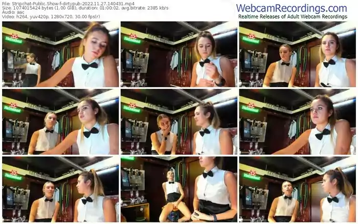 stripchat-dirtypub-11-27-2022-14-04-31