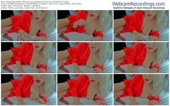 stripchat-lust_pleasure-11-29-2022-04-41-27