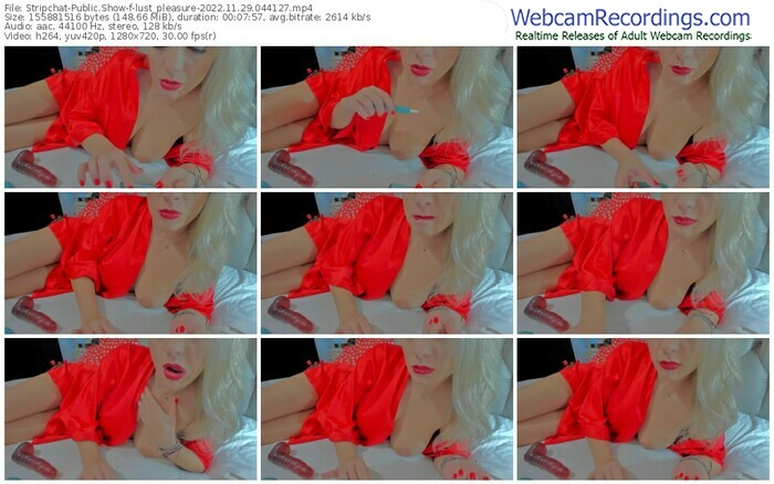 stripchat-lust_pleasure-11-29-2022-04-41-27