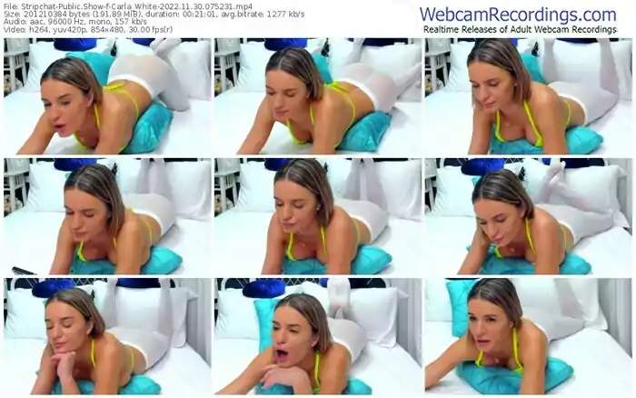 stripchat-carla_white-11-30-2022-07-52-31