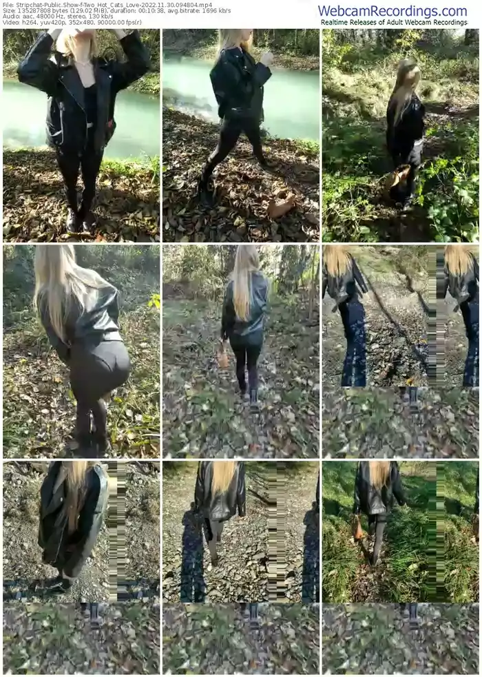 stripchat-two_hot_cats_love-11-30-2022-09-48-04