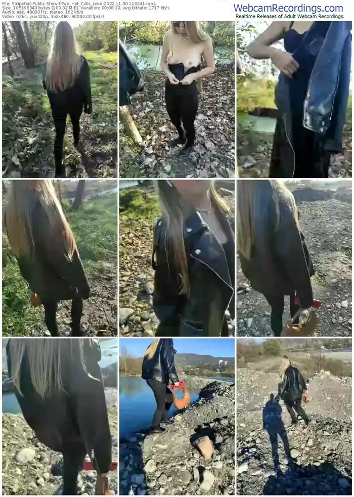 stripchat-two_hot_cats_love-11-30-2022-11-02-41