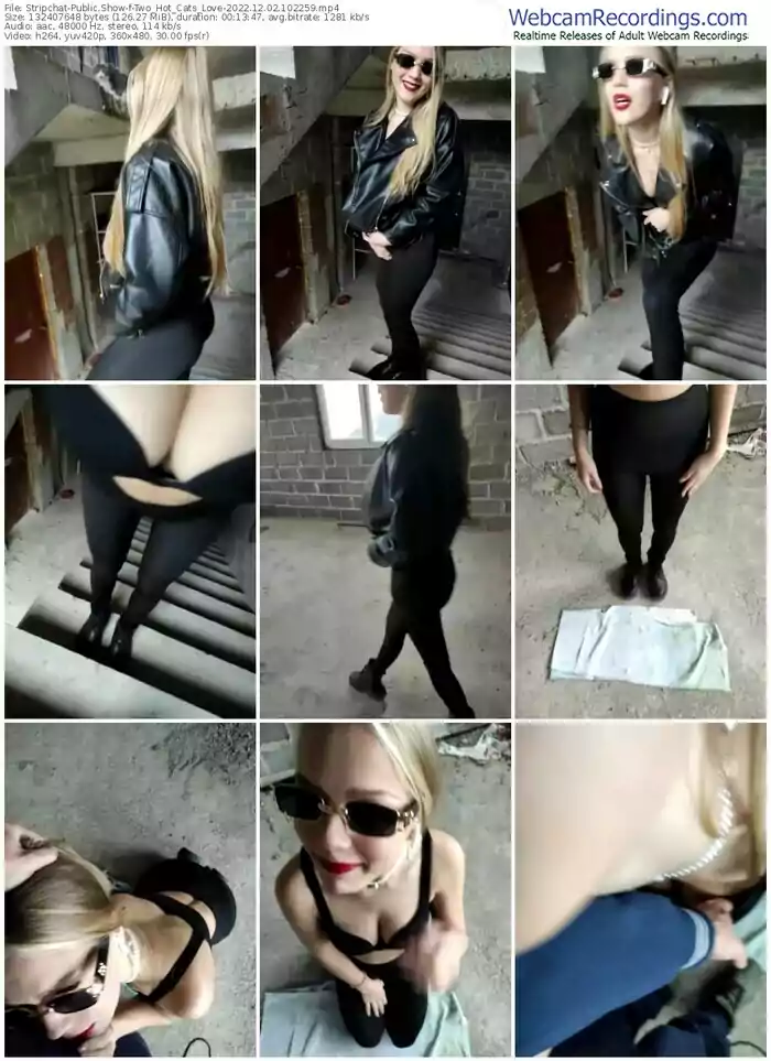 stripchat-two_hot_cats_love-12-02-2022-10-22-59