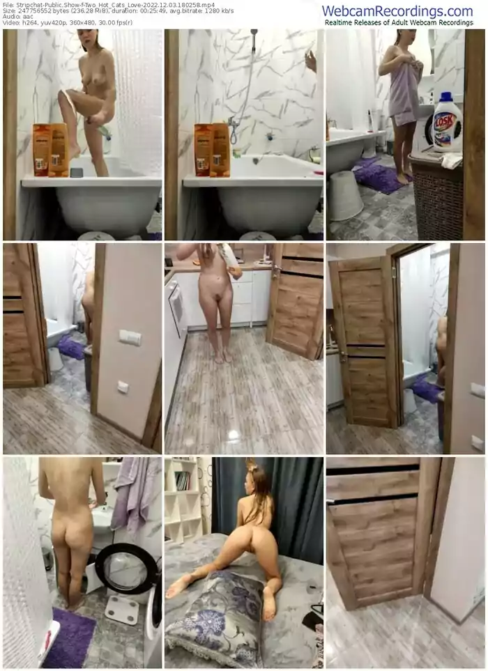 stripchat-two_hot_cats_love-12-03-2022-18-02-58