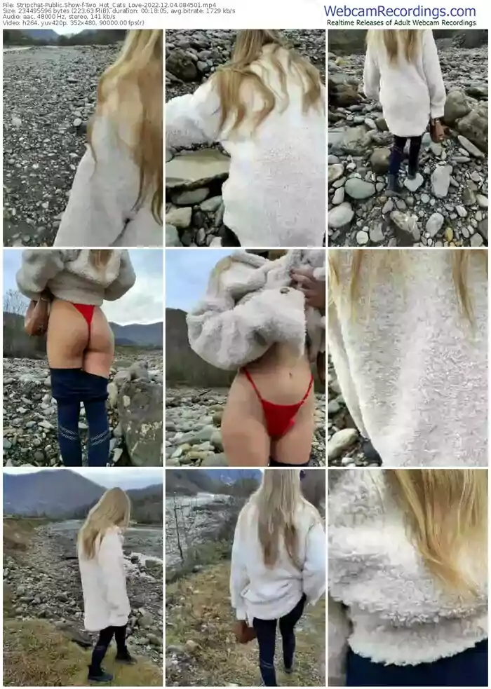 stripchat-two_hot_cats_love-12-04-2022-08-45-01