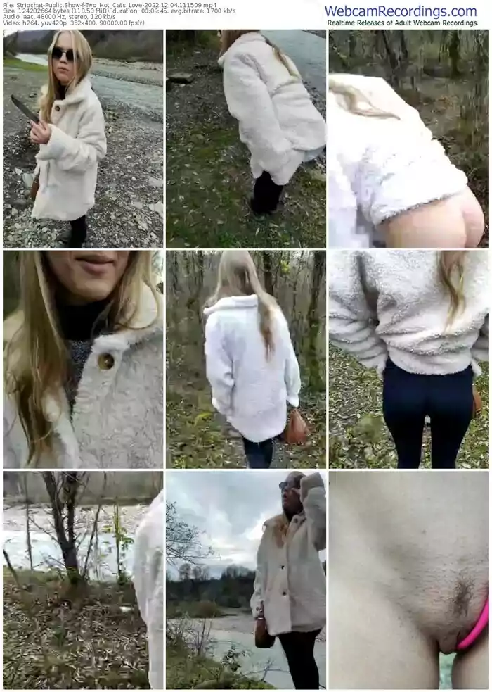 stripchat-two_hot_cats_love-12-04-2022-11-15-09