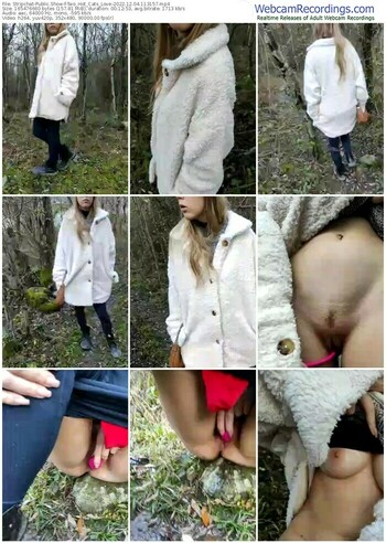 stripchat-two_hot_cats_love-12-04-2022-11-31-57