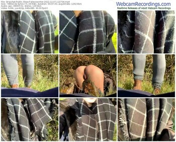 stripchat-alexiswinter-12-07-2022-12-27-04