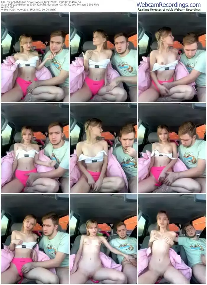 stripchat-adele_nick-12-08-2022-08-33-48