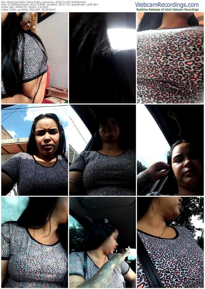 stripchat-dirty_perverse_-12-08-2022-19-18-28