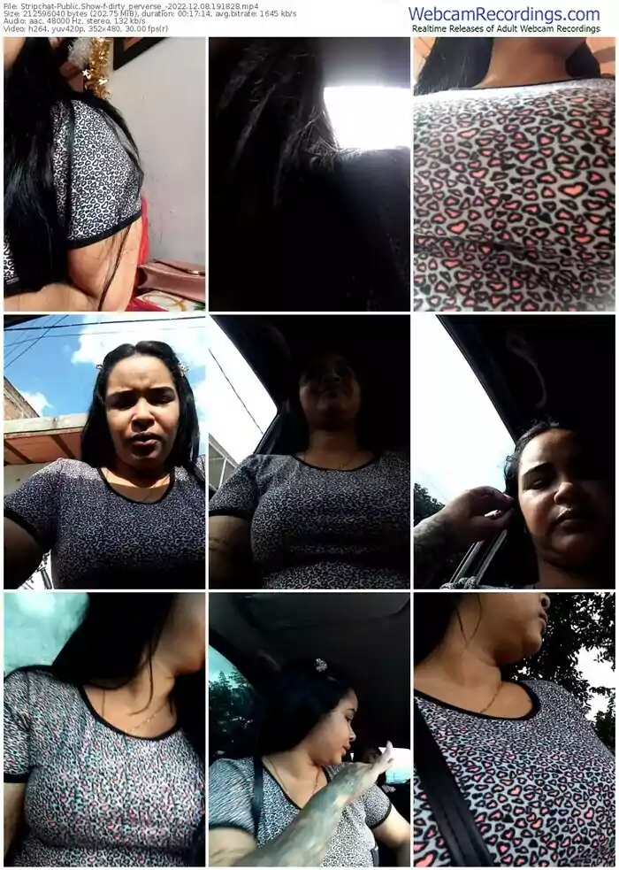 stripchat-dirty_perverse_-12-08-2022-19-18-28