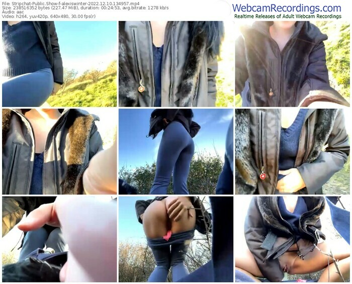 stripchat-alexiswinter-12-10-2022-13-49-57