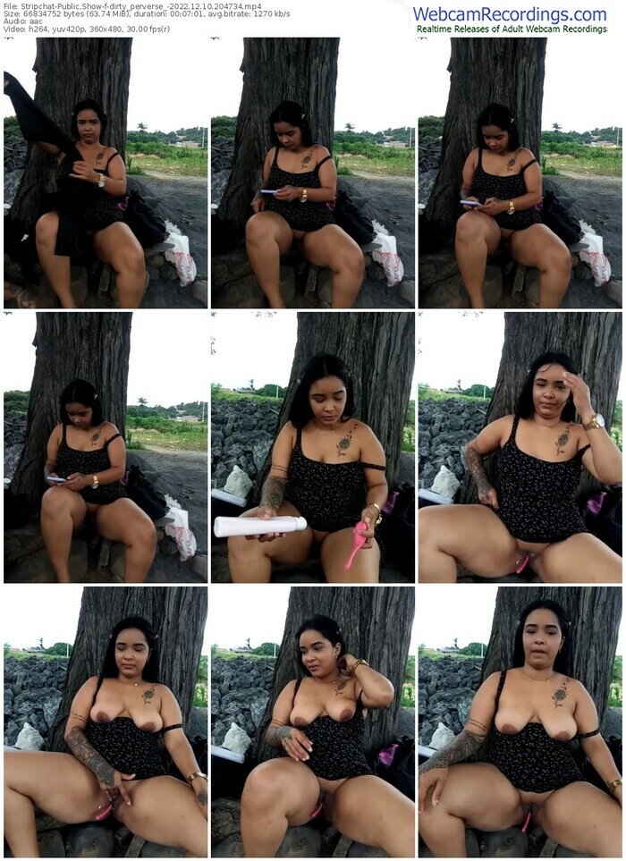 stripchat-dirty_perverse_-12-10-2022-20-47-34