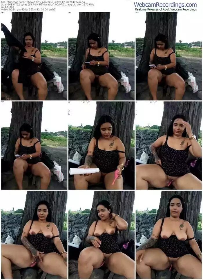 stripchat-dirty_perverse_-12-10-2022-20-47-34