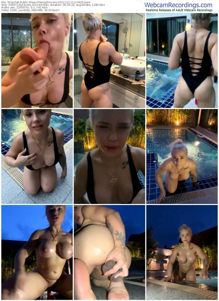 stripchat-pennyprincess-12-13-2022-11-04-25