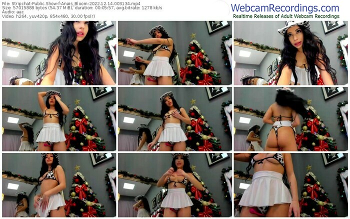 stripchat-anais_bloom-12-14-2022-00-31-34