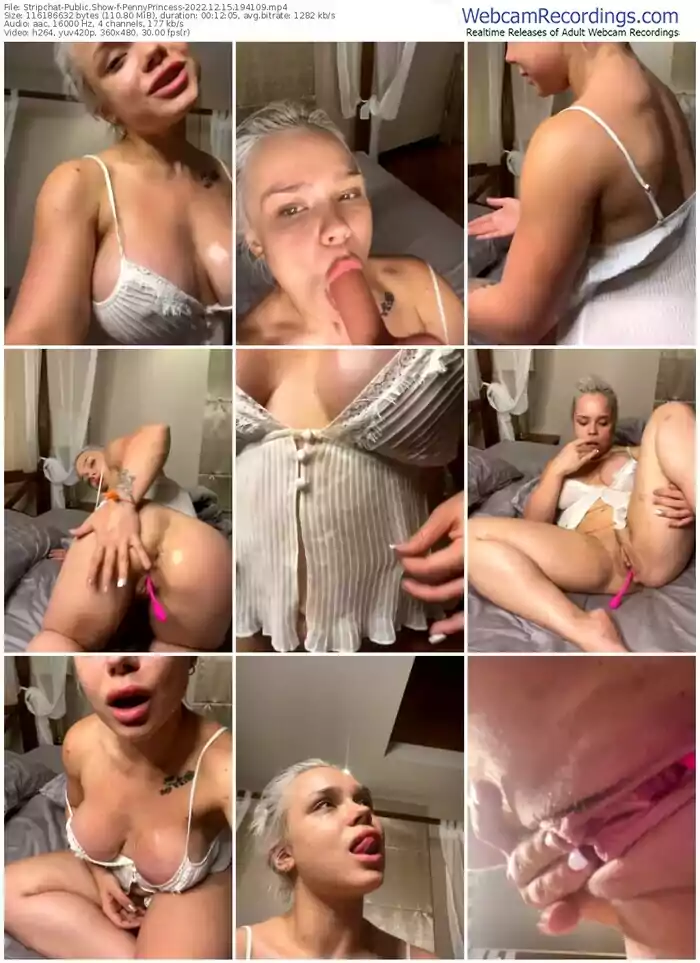 stripchat-pennyprincess-12-15-2022-19-41-09