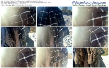 stripchat-alexiswinter-12-15-2022-11-44-33