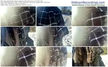 stripchat-alexiswinter-12-15-2022-11-44-33