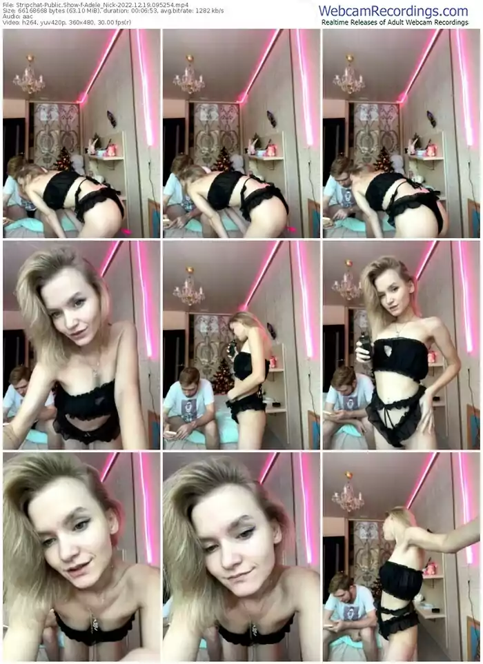 stripchat-adele_nick-12-19-2022-09-52-54