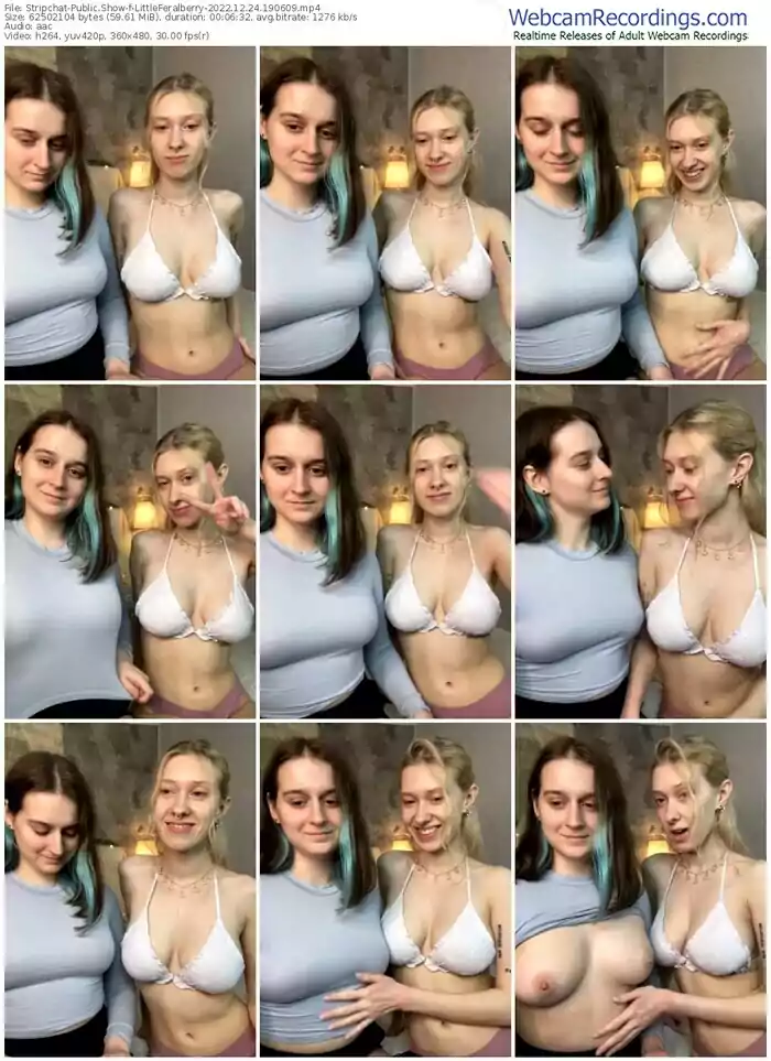 stripchat-littleferalberry-12-24-2022-19-06-09