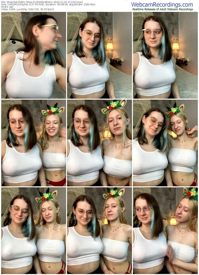 stripchat-littleferalberry-12-25-2022-11-22-23