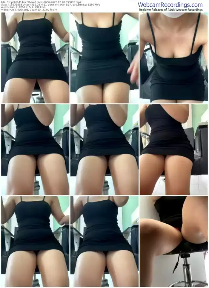 stripchat-carol-12-28-2022-03-30-33