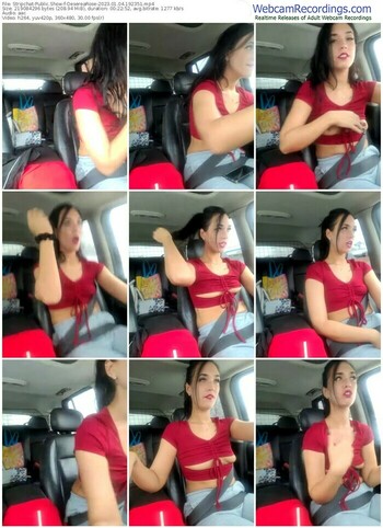 stripchat-deserearose-01-04-2023-19-23-51