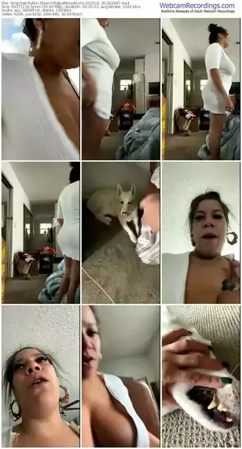 stripchat-bigbuttbrooklynn-01-30-2023-00-26-47